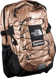 The North Face - Supreme The North Face Metallic Borealis Backpack Rose Gold