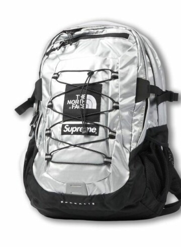 The North Face - Supreme The North Face Metallic Borealis Backpack Silver