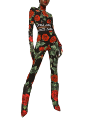 Dolce & Gabbana - Dolce & Gabbana rose-print charmeuse leggings