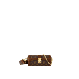 Louis Vuitton - Papillon Trunk